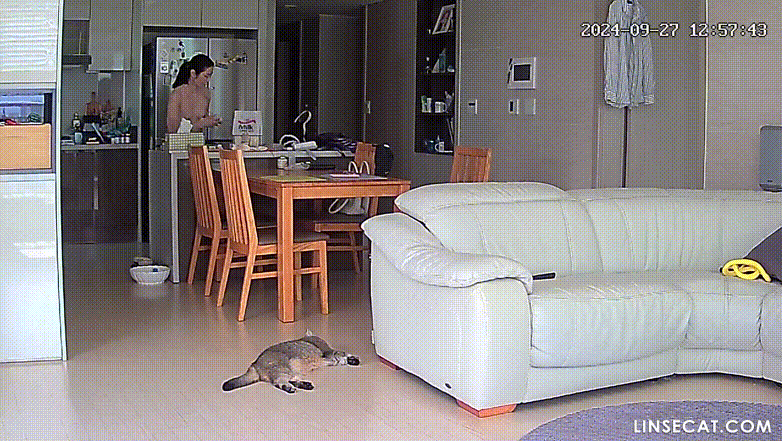 5272e1ffbbea3fd81e3322bbc7de1eab_1749979818_5185.gif