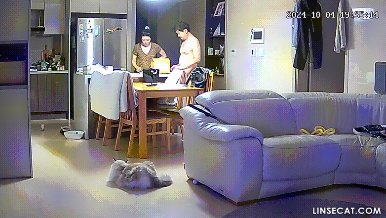 5272e1ffbbea3fd81e3322bbc7de1eab_1749979824_1111.gif