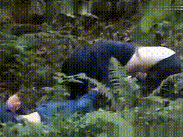 5b33a934c3eb98d35e76abc22110296c_1751047634_0724.gif