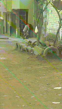 5b33a934c3eb98d35e76abc22110296c_1751047637_2198.gif