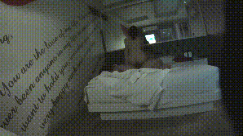 5dbb2ae22d407446913cde77b687f12a_1750890856_7593.gif