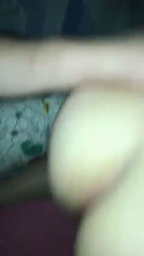 6aef34fe55ec29838c9c30cc6424b371_1750051200_2001.gif