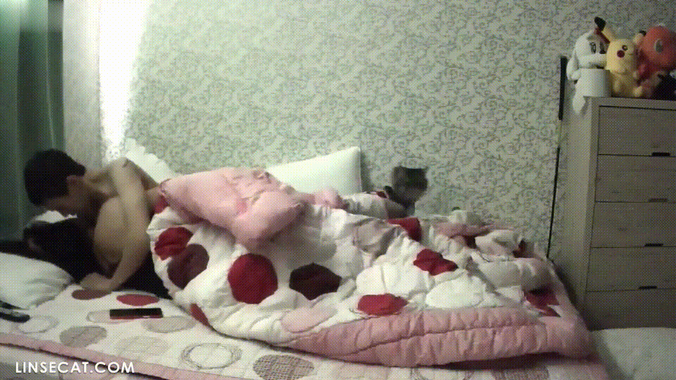 79577081fcf3e9284039f4ac4c5912e7_1750741301_7686.gif