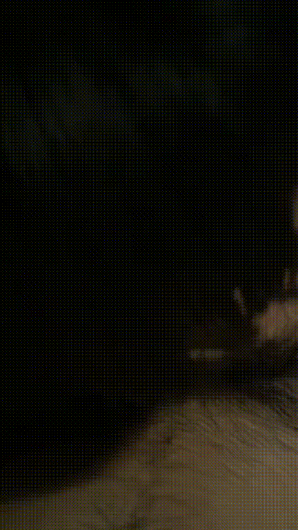 7d2076a1d8d919ee8a4ef49264e0ba8e_1749178517_5563.gif