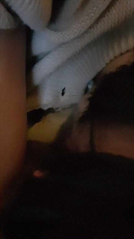 7d2076a1d8d919ee8a4ef49264e0ba8e_1749178539_1317.gif