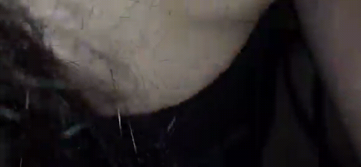 8aa094e6f90a4f3fabaab7d3904dd833_1751283218_3845.gif