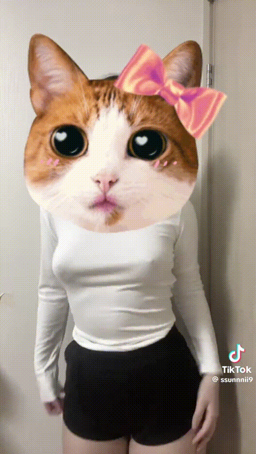 de9d41b5c2c0c51b312b429d2005b7eb_1750738824_6094.gif