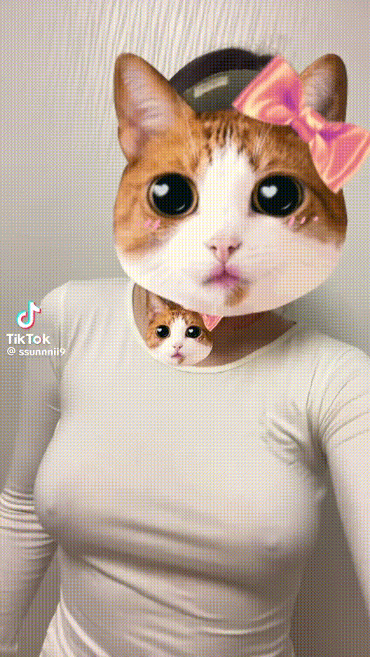 de9d41b5c2c0c51b312b429d2005b7eb_1750738827_1299.gif