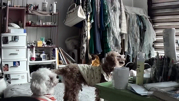 02dd77020a1e9d13ff9d240c0250e50f_1751851656_1959.gif