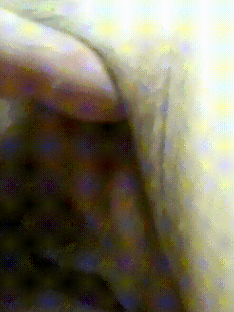 03d3474c7be35e365f3507cb2783b4c8_1751563013_1576.gif