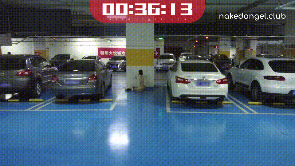 076d596499536a2c44ff15c2ed5d0eb2_1751366480_9476.gif