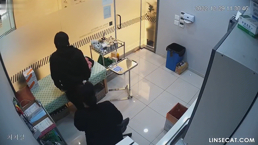 4a53679cd3a8427e887493cab2dee557_1751480399_8697.gif