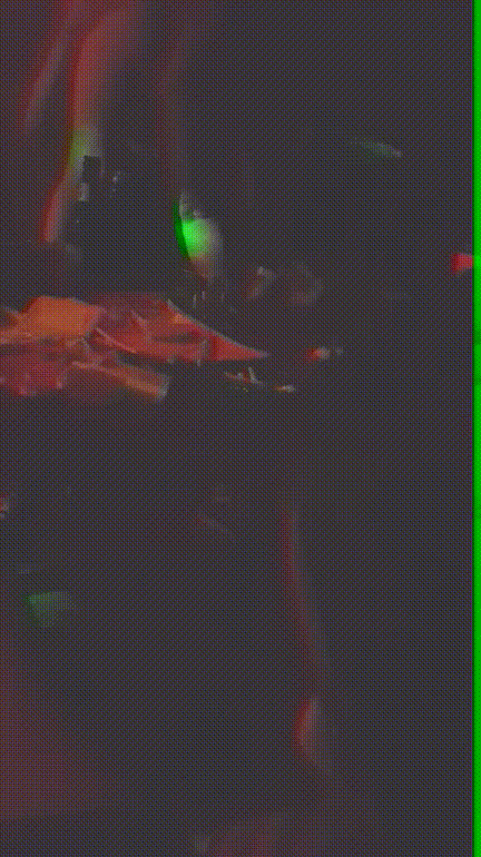 5df720e128555611d28a3ece64c318f8_1751480841_8812.gif