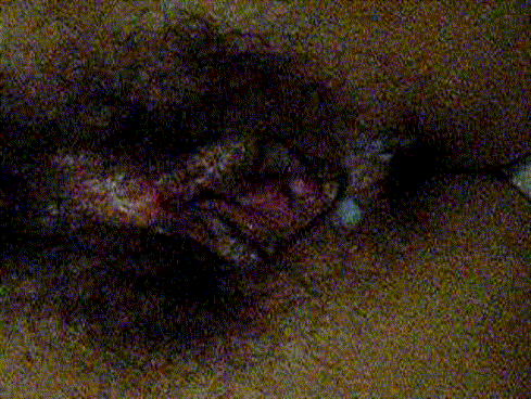 e1efcfb5b230c7fa337a68d4a7a21fbe_1752137190_9988.gif