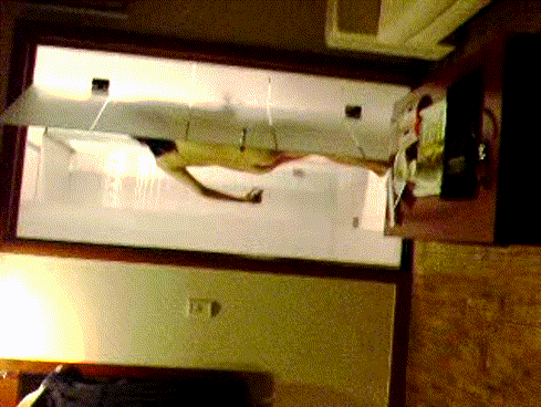 e1efcfb5b230c7fa337a68d4a7a21fbe_1752137192_8392.gif